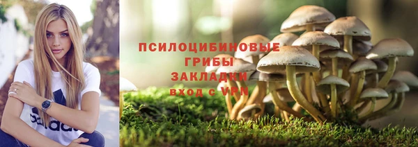 крисы Гусь-Хрустальный