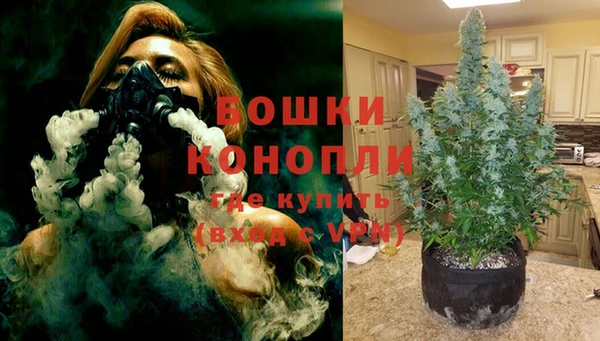 крисы Гусь-Хрустальный