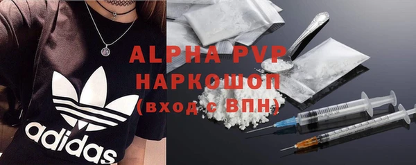 молекула духа Дмитриев