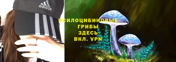 соль курить ск Гусиноозёрск