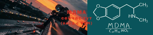 ПСИЛОЦИБИНОВЫЕ ГРИБЫ Гусев