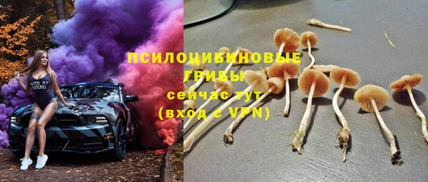 крисы Гусь-Хрустальный