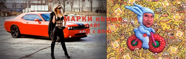 ПСИЛОЦИБИНОВЫЕ ГРИБЫ Гусев
