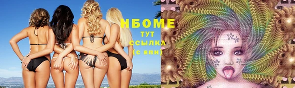 ПСИЛОЦИБИНОВЫЕ ГРИБЫ Гусев
