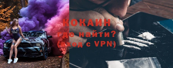 ПСИЛОЦИБИНОВЫЕ ГРИБЫ Гусев